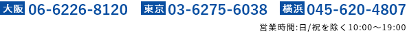 06-6226-8120