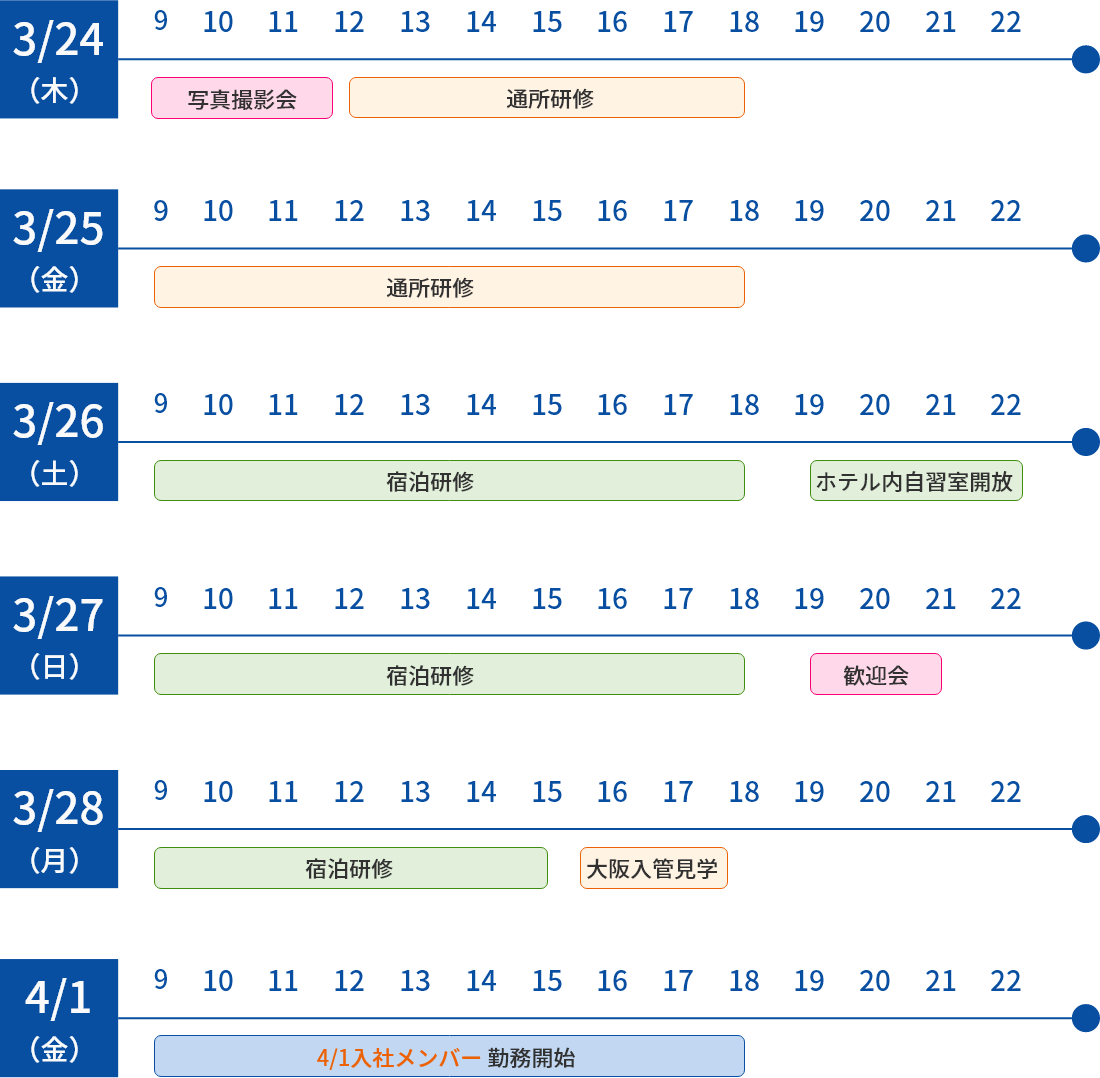 スケジュール